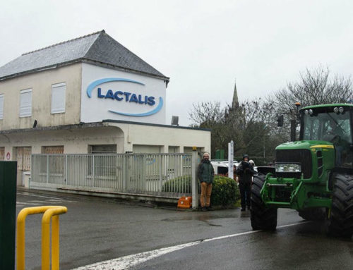 Pourquoi Lactalis va réduire sa collecte de lait