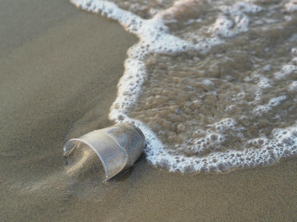 Pollution plastique dans l'océan