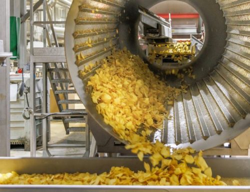 Le succès fou des chips Brets met son fabricant breton en surchauffe