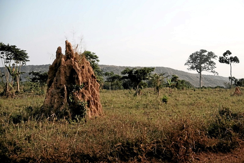 Au loin, une montagne de gravats, fruit de l’exploitation d’Allied Gold. Hiré, Côte d’Ivoire. 2024.©  Hadrien Degiorgi                                                                                                                                                                                                                                           